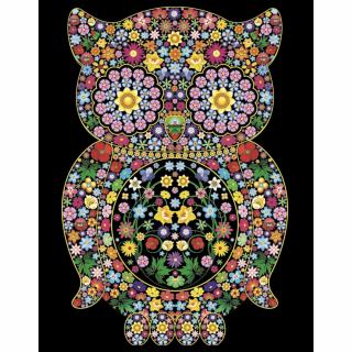 Colorvelvet Sametový obrázek Sova 21x29,7cm (&lt;P&gt;&lt;STRONG&gt;Sametový obrázek, vel. S&amp;nbsp;- Sova&lt;/STRONG&gt;&lt;STRONG&gt;.&lt;/STRONG&gt;&lt;/P&gt;)