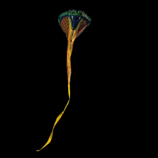 Günther drak Cobra (&lt;P&gt;&lt;SPAN style= FONT-SIZE: 14pt; FONT-FAMILY: verdana,geneva &gt;COBRA létající 3D drak&amp;nbsp;pro děti Kobra&amp;nbsp;69 x&amp;nbsp;400&amp;nbsp;cm &lt;/SPAN&gt;&lt;/P&gt;)