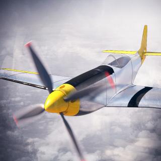 P51-D Mustang ( 3D tisk)