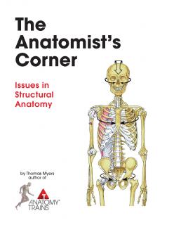 ANATOMISTS CORNER