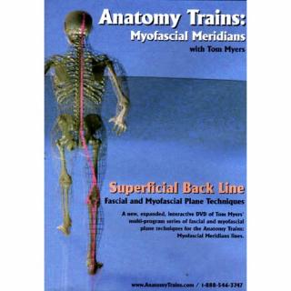 Anatomy Trains Vol 4: Superficial Back Line DVD