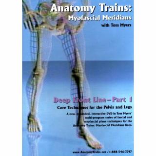 Anatomy Trains Vol 8: Deep Front Line – Lower Portion DVD