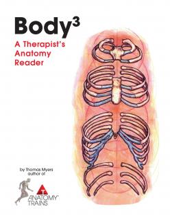 BODY 3 SERIES  (A Therapits Anatomy Reader)