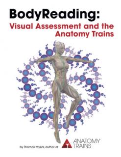 BODYREADING  (Visual Assessment and the Anatomy Trains by Tom Myers)