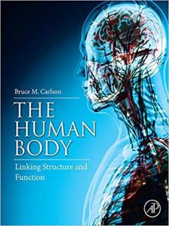 THE HUMAN BODY, LINKING STRUCTURE AND FUNCTION