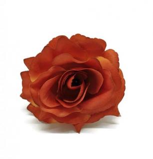 Růže vazb.skořicová 9cm (12ks/bal)