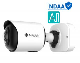 MS-C5365-PA AI NDAA 1.68mm 180° Panoramic IP 5MP/30fps