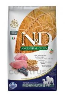 N&D LG DOG Adult M/L Lamb&Blueberry 12kg