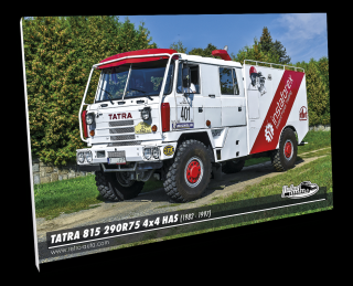 Obraz č. 03 - Tatra 815 290R75 4x4 HAS (1982 - 1997) 100 x 70 cm