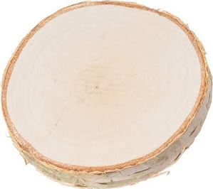 Dřevěná podložka z kmene břízy 8-10 cm