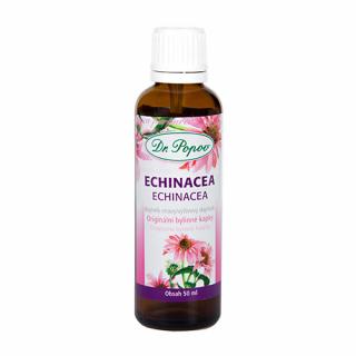 Echinacea , originální bylinné kapky, 50 ml Dr. Popov