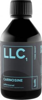 Liposomální karnosin, 240 ml