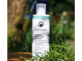 Odylique Gentle Herb Prebiotický šampon Objem:: 500 ml