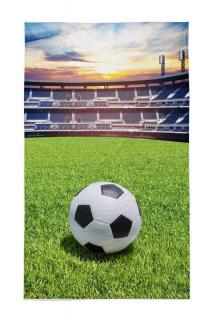 DETEXPOL Dětský ručník Fotbal 100%  Bavlna - Froté 50/30 cm