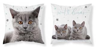 DETEXPOL Povlak na polštářek Kočka grey micro 100% Polyester 40/40 cm