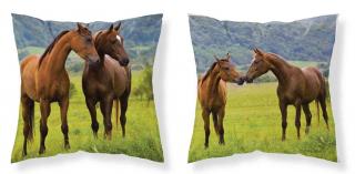DETEXPOL Povlak na polštářek Koně na louce micro 100% Polyester 40/40 cm