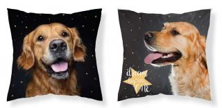 DETEXPOL Povlak na polštářek Pes hvězdy micro 100% Polyester 40/40 cm