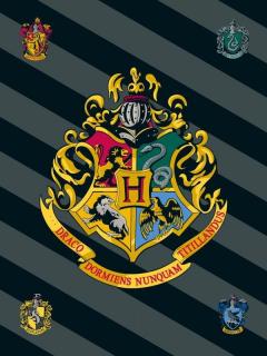 JERRY FABRICS Fleece deka Harry Potter HP067 polyester 100/150 cm