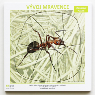 Puzzle - Vývoj mravence