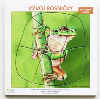 Puzzle - Vývoj rosničky