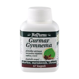 Gurmar – Gymnema, skořice, morušovník, chrom, 67 kapslí