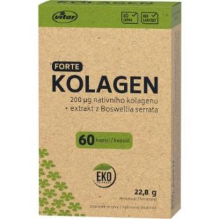 Vitar Kolagen EKO, 60 kapslí