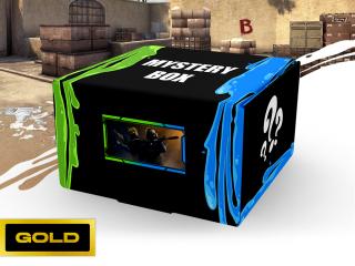 Mystery Box Counter-Strike - Gold Velikost oblečení: XL