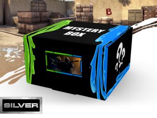 Mystery Box Counter-Strike - Silver Velikost oblečení: 122 (4-6 let)