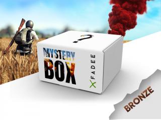 Mystery Box PUBG - Bronze