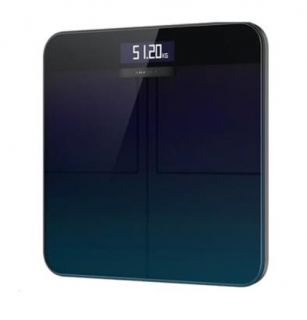 Amazfit Smart Scale Aurora Gradient