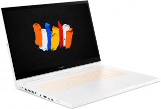 Acer ConceptD 3 Ezel CC315-73G-70Q9