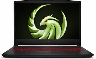 MSI Bravo 15 B5DD-233DE