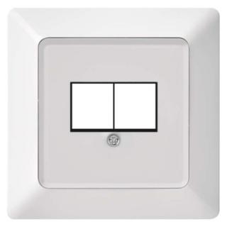 2xRJ45 data socket cover