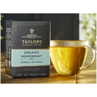 TAYLORS OF HARROGATE mátový čaj ORGANIC 20 sáčků