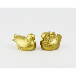 Mandarínské kačenky (zlatý pár)