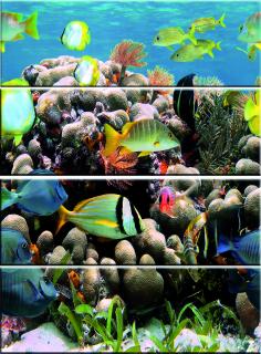 set dekor Colorgloss AQUARIUM Glass 4 ks 100X75 cm lesk