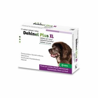 Dehinel plus XL a.u.v. 2tbl.