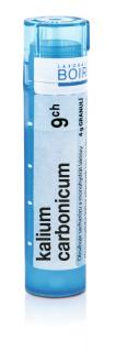 Kalium Carbonicum por.gra.4 g 9CH