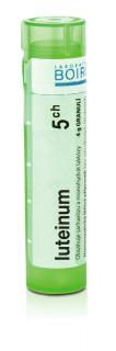 Luteinum por.gra.4 g 5CH