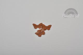 Štítek koženka, Motýlci terra (E) (Štítky na oblečení)