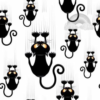 Teplákovina Škrábající černá kočka (E) (Kvalitní teplákovina Bella)