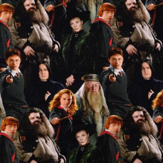 Úplet Harry Potter (E) (Kvalitní úplet z Holandska)