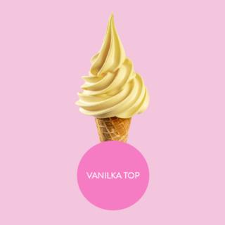 Směs na vanilkovou zmrzlinu - ALMECO SOFT VANILKA 2 kg - zmrzlinová směs v prášku