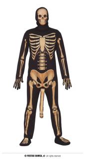 Skeleton s penisem varianta: L 52 - 54