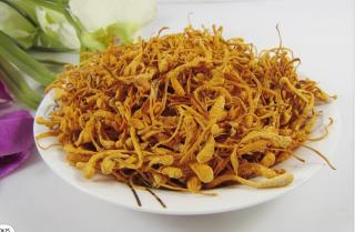 Cordyceps  Militaris ( Housenice Červená)