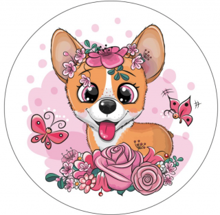 JEDLÝ PAPÍR CORGI 2