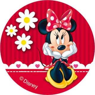 JEDLÝ PAPÍR MINNIE 4