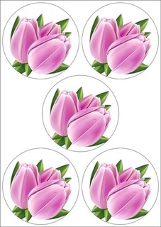 JEDLÝ PAPÍR TULIPÁN