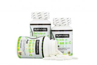 Survival Delicious Vitamin C Fair Power® - EXP: 23/11/22