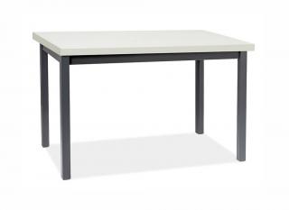 Jídelní stůl - ADAM, 100x60, bílá/černá